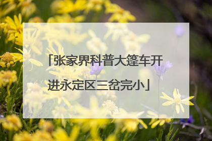 张家界科普大篷车开进永定区三岔完小