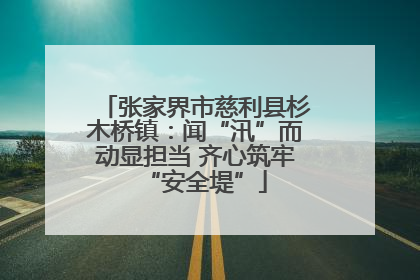 张家界市慈利县杉木桥镇：闻“汛”而动显担当 齐心筑牢“安全堤”