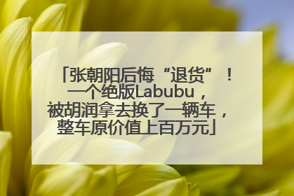 张朝阳后悔“退货”！一个绝版Labubu，被胡润拿去换了一辆车，整车原价值上百万元