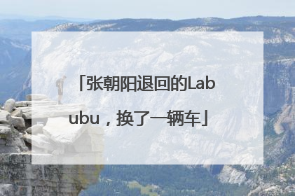 张朝阳退回的Labubu，换了一辆车