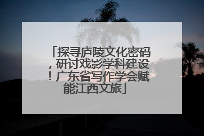 探寻庐陵文化密码，研讨戏影学科建设！广东省写作学会赋能江西文旅