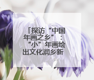 探访“中国年画之乡”：“小”年画绘出文化润乡新图景