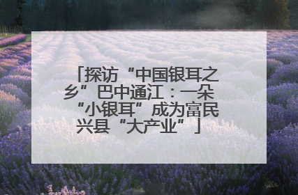 探访“中国银耳之乡”巴中通江：一朵“小银耳”成为富民兴县“大产业”