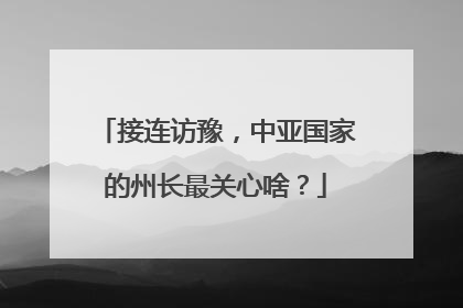 接连访豫，中亚国家的州长最关心啥？