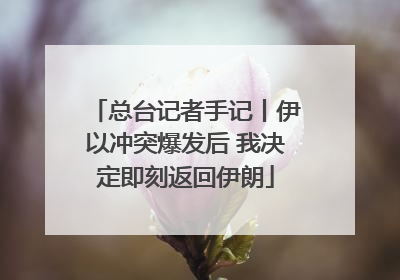 总台记者手记丨伊以冲突爆发后 我决定即刻返回伊朗