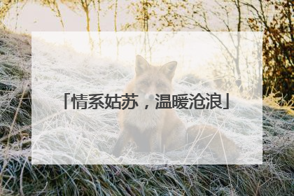 情系姑苏，温暖沧浪