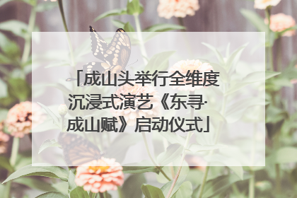 成山头举行全维度沉浸式演艺《东寻·成山赋》启动仪式