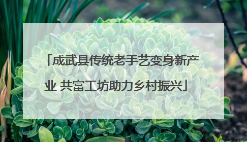 成武县传统老手艺变身新产业 共富工坊助力乡村振兴