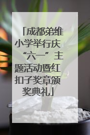 成都弟维小学举行庆“六一”主题活动暨红扣子奖章颁奖典礼