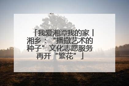 我爱湘潭我的家丨湘乡：“播撒艺术的种子”文化志愿服务再开“繁花”