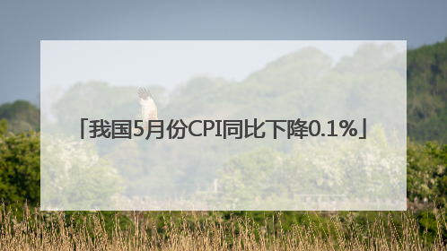 我国5月份CPI同比下降0.1%