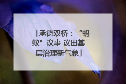承德双桥：“蚂蚁”议事 议出基层治理新气象