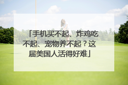 手机买不起、炸鸡吃不起、宠物养不起？这届美国人活得好难