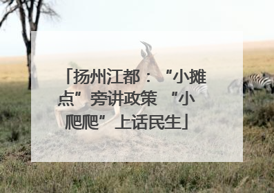扬州江都：“小摊点”旁讲政策 “小爬爬”上话民生