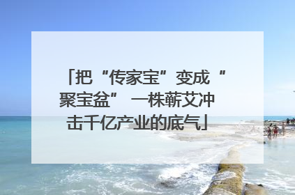 把“传家宝”变成“聚宝盆” 一株蕲艾冲击千亿产业的底气