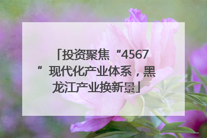 投资聚焦“4567”现代化产业体系，黑龙江产业换新景