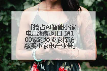 抢占AI智能小家电出海新风口 超100家跨境卖家探访慈溪小家电产业带