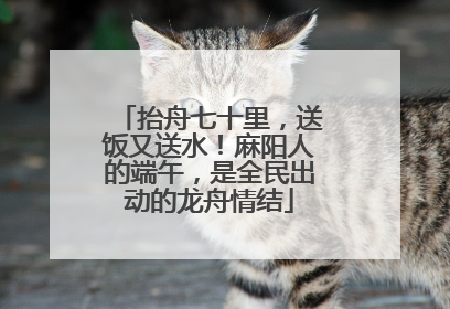 抬舟七十里，送饭又送水！麻阳人的端午，是全民出动的龙舟情结