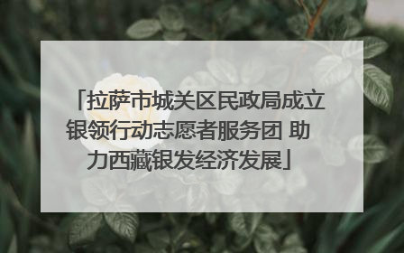 拉萨市城关区民政局成立银领行动志愿者服务团 助力西藏银发经济发展