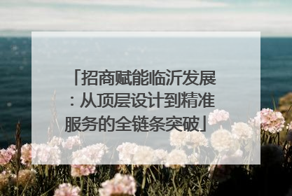 招商赋能临沂发展：从顶层设计到精准服务的全链条突破