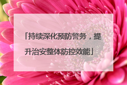 持续深化预防警务，提升治安整体防控效能