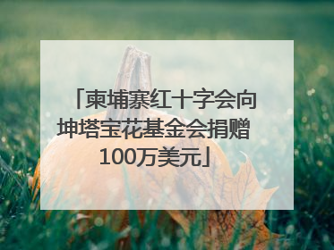 柬埔寨红十字会向坤塔宝花基金会捐赠100万美元