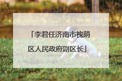 李君任济南市槐荫区人民政府副区长