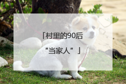 村里的90后“当家人”