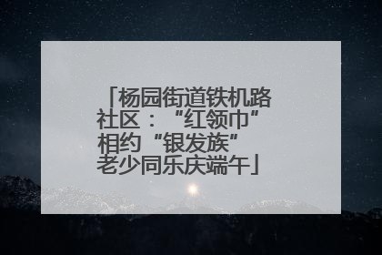 杨园街道铁机路社区：“红领巾”相约“银发族” 老少同乐庆端午