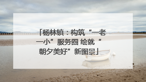 杨林镇：构筑“一老一小”服务圈 绘就“朝夕美好”新图景