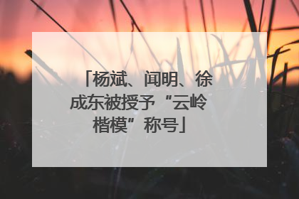 杨斌、闻明、徐成东被授予“云岭楷模”称号