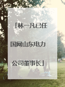 林一凡已任国网山东电力公司董事长