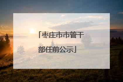 枣庄市市管干部任前公示