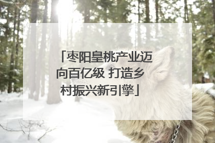 枣阳皇桃产业迈向百亿级 打造乡村振兴新引擎