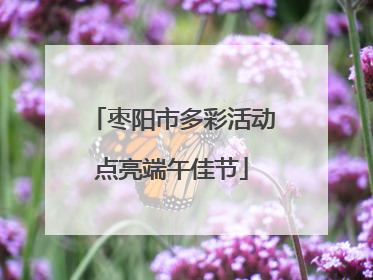枣阳市多彩活动点亮端午佳节