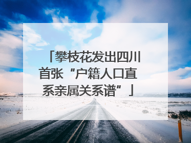 攀枝花发出四川首张“户籍人口直系亲属关系谱”