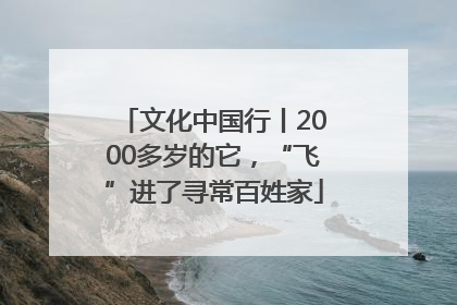 文化中国行丨2000多岁的它，“飞”进了寻常百姓家