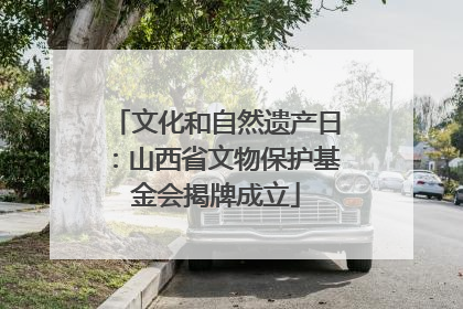 文化和自然遗产日：山西省文物保护基金会揭牌成立