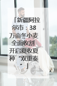 新疆阿拉尔市：38万亩冬小麦全面收割 开启夏收夏种“双重奏”