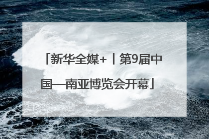 新华全媒+丨第9届中国—南亚博览会开幕