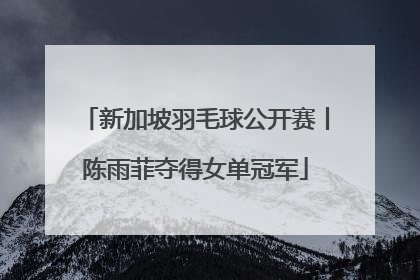 新加坡羽毛球公开赛丨陈雨菲夺得女单冠军