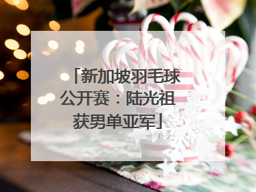 新加坡羽毛球公开赛：陆光祖获男单亚军