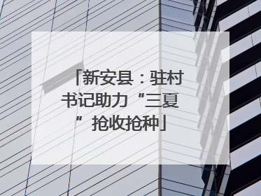 新安县：驻村书记助力“三夏”抢收抢种