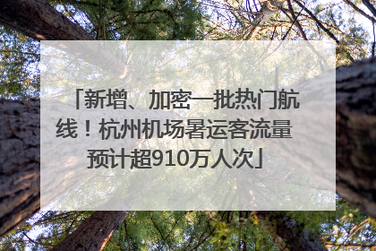 新增、加密一批热门航线！杭州机场暑运客流量预计超910万人次