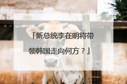 新总统李在明将带领韩国走向何方？