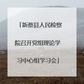 新蔡县人民检察院召开党组理论学习中心组学习会