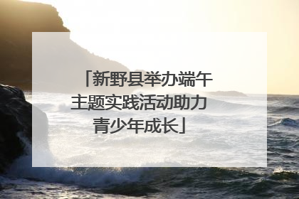 新野县举办端午主题实践活动助力青少年成长