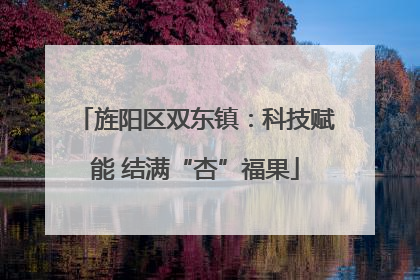 旌阳区双东镇：科技赋能 结满“杏”福果