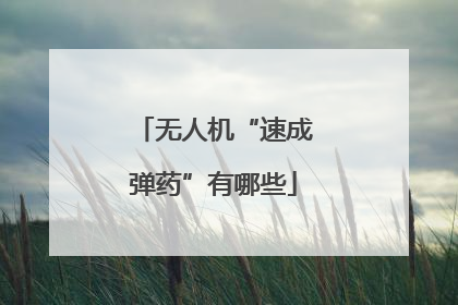无人机“速成弹药”有哪些