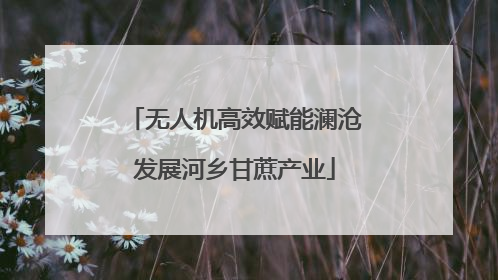 无人机高效赋能澜沧发展河乡甘蔗产业